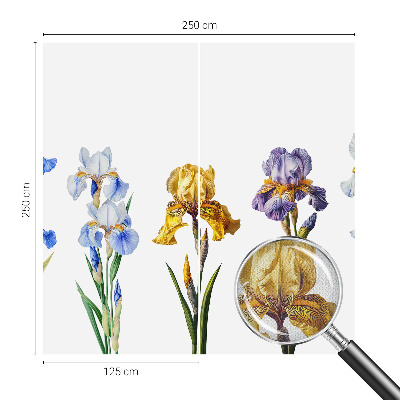3D fototapetas sienoms su Irisblomster raštu
