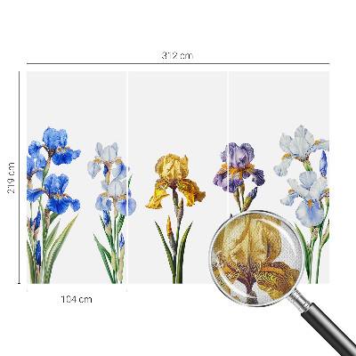 3D fototapetas sienoms su Irisblomster raštu