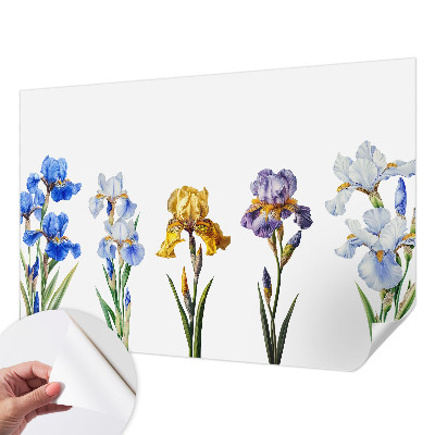 3D fototapetas sienoms su Irisblomster raštu