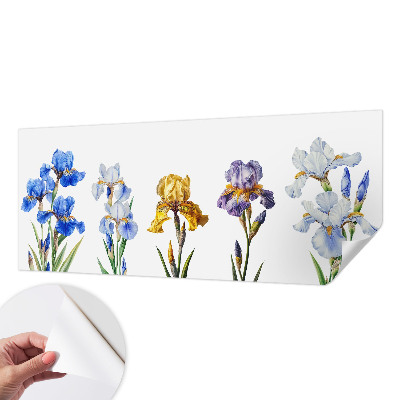 3D fototapetas sienoms su Irisblomster raštu