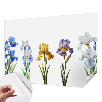 3D fototapetas sienoms su Irisblomster raštu