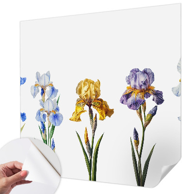 3D fototapetas sienoms su Irisblomster raštu