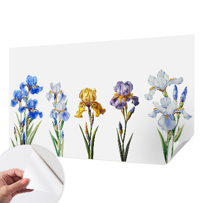 3D fototapetas sienoms su Irisblomster raštu