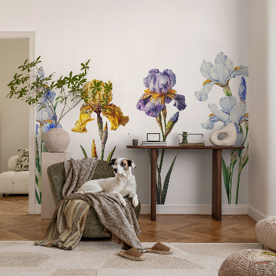 3D fototapetas sienoms Irisblomster