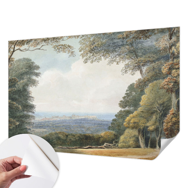 Fototapetas vaiko kambariui Skovklædt kraštovaizdžio