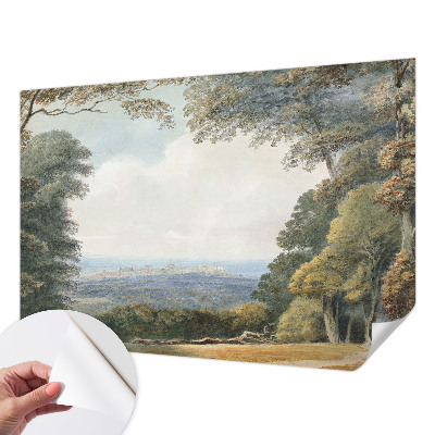 Fototapetas vaiko kambariui Skovklædt kraštovaizdžio