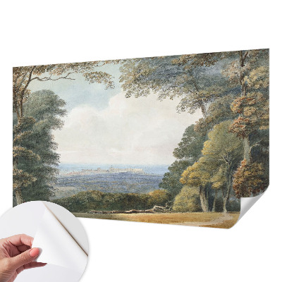 Fototapetas vaiko kambariui Skovklædt kraštovaizdžio