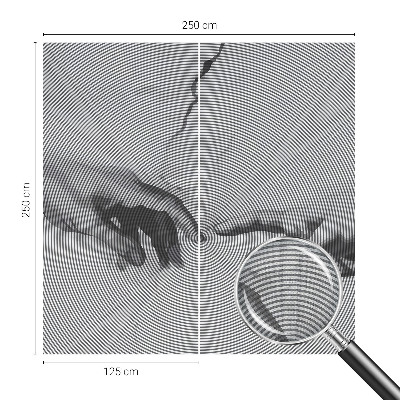 Fototapetas vaiko kambariui Hipnotizuojančioji ranka