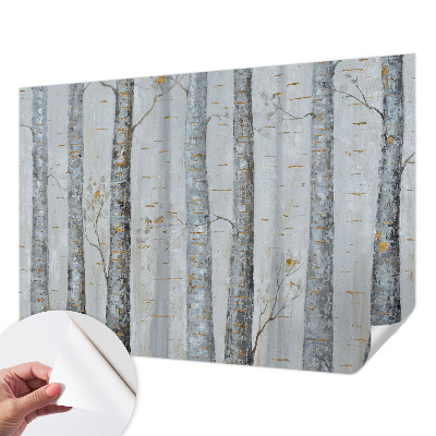 Fototapetai su beržų medžių motyvu