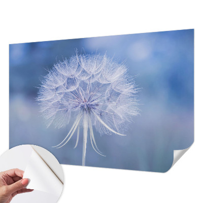 3D fototapetas su mėlynu delikateso motyvu