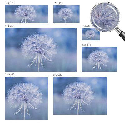 3D fototapetas Mėlynas delikatesas