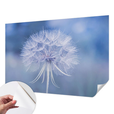 3D fototapetas su mėlynu delikateso motyvu