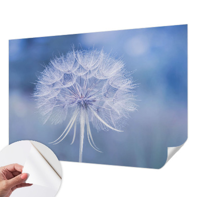 3D fototapetas su mėlynu delikateso motyvu