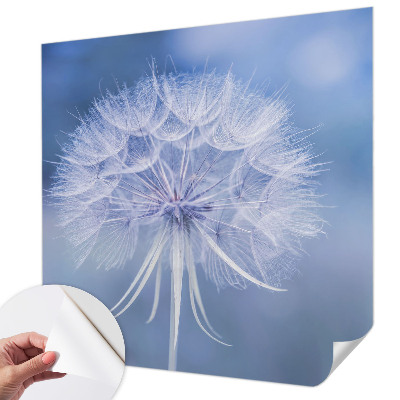 3D fototapetas su mėlynu delikateso motyvu