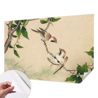 Tapetai Klasikinis duetas