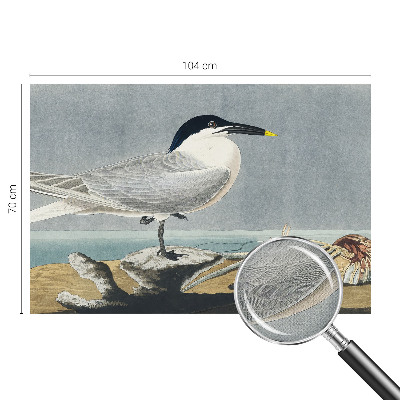 Fototapetas vaikams Ornitologinė elegancija