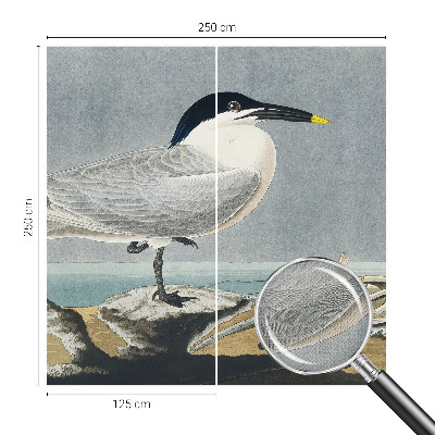 Fototapetas vaikams Ornitologinė elegancija