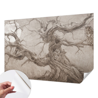 Fototapetas vaiko kambariui Natfugle