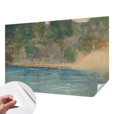 3D fototapetas sienoms su tropikų kyšulio motyvu