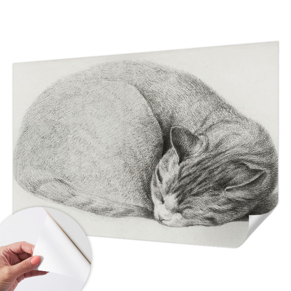 Tapetai Krøllet kat