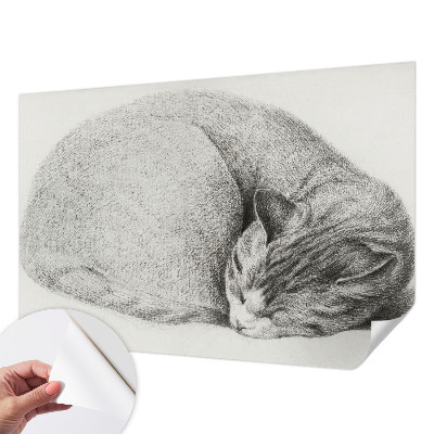 Tapetai Krøllet kat