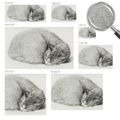 Tapetai Krøllet kat