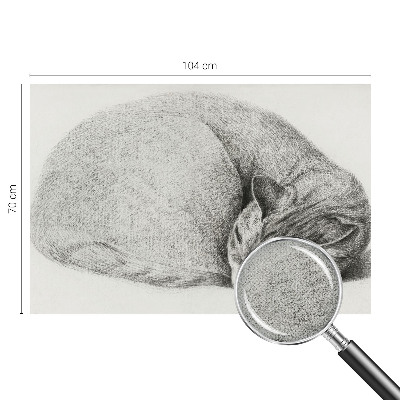 Tapetai Krøllet kat