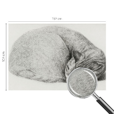 Tapetai Krøllet kat