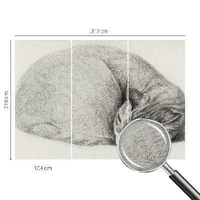 Tapetai Krøllet kat