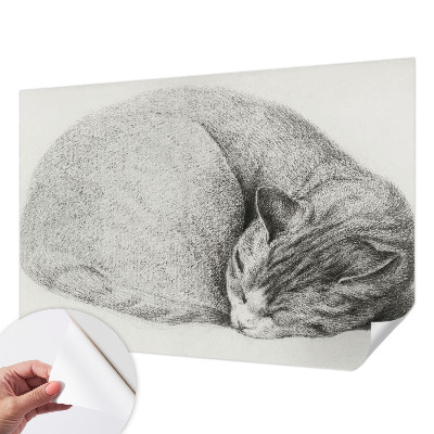 Tapetai Krøllet kat