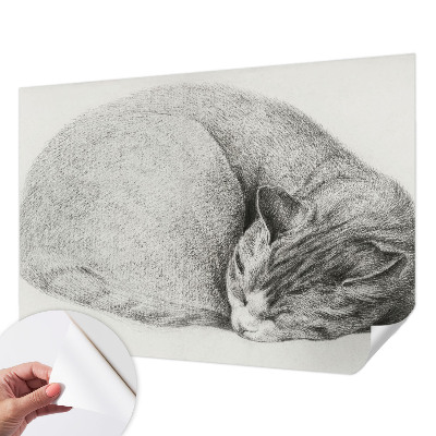 Tapetai Krøllet kat