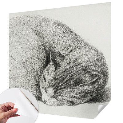 Tapetai Krøllet kat