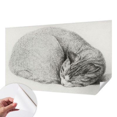 Tapetai Krøllet kat