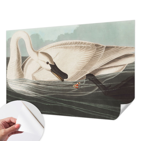 Fototapetas vaikams Naturens harmony