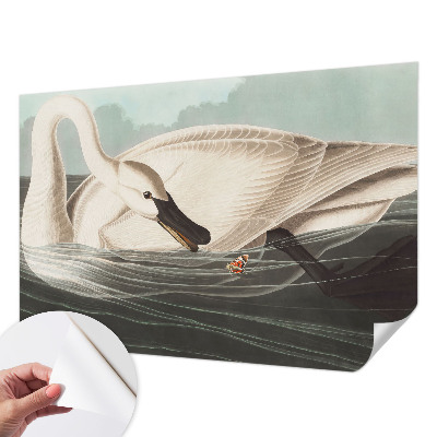 Fototapetas vaikams Naturens harmony