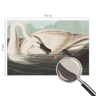 Fototapetas vaikams Naturens harmony