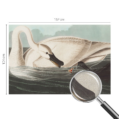 Fototapetas vaikams Naturens harmony