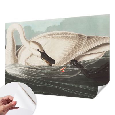 Fototapetas vaikams Naturens harmony