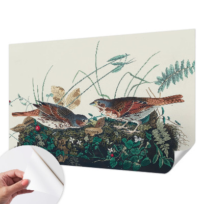 Fototapetai Natūralus žavesys