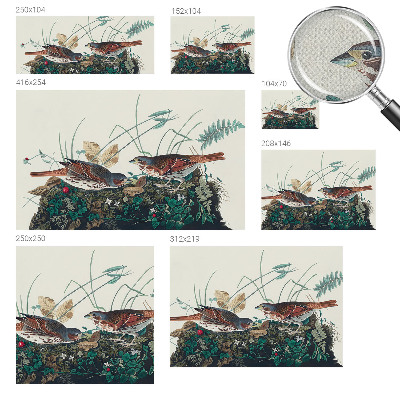 Fototapetai Natūralus žavesys