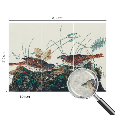 Fototapetai Natūralus žavesys