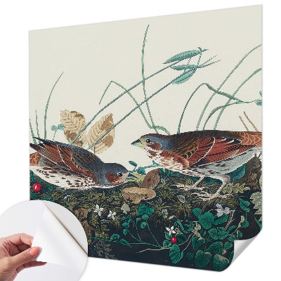 Fototapetai Natūralus žavesys