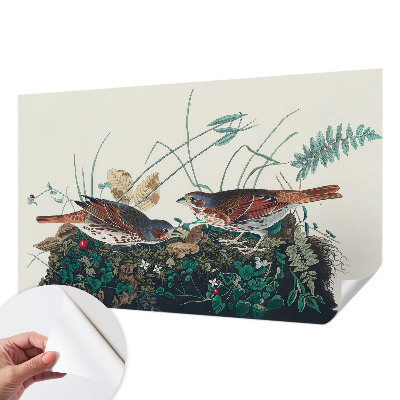 Fototapetai Natūralus žavesys