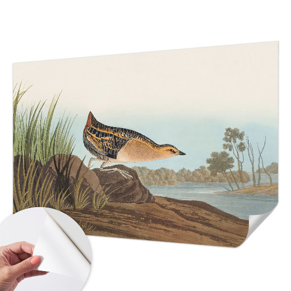 Savaime lipnus fototapetas Natūrali scena