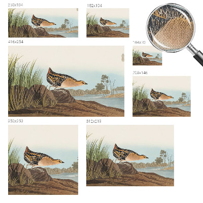 Savaime lipnus fototapetas Natūrali scena