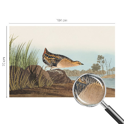 Savaime lipnus fototapetas Natūrali scena