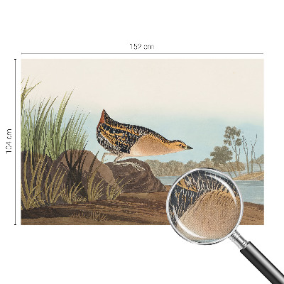 Savaime lipnus fototapetas Natūrali scena