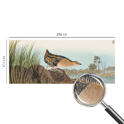 Savaime lipnus fototapetas su natūralia scena