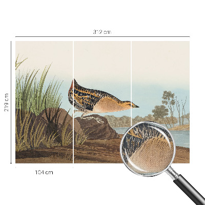 Savaime lipnus fototapetas su natūralia scena