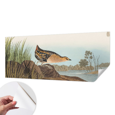 Savaime lipnus fototapetas Natūrali scena